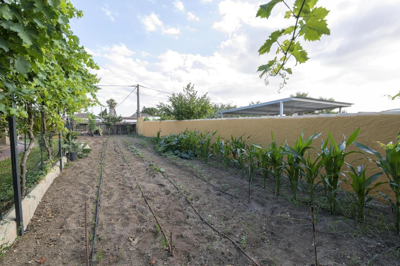 Rincon De La Huerta Villa Chiclana de la Frontera Buitenkant foto